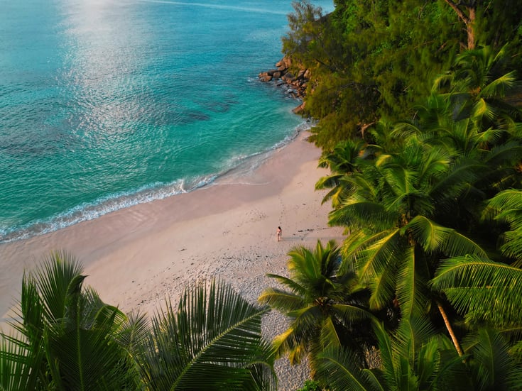  Anse Soleil Beach - YOANN BOYER 